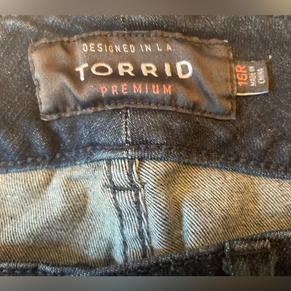 Torrid Double Zipper Skinny Jeans - Picture 4 of 4